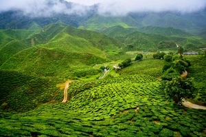 Darjeeling