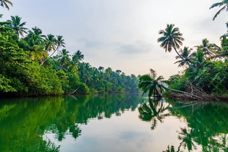 Kerala Backwaters