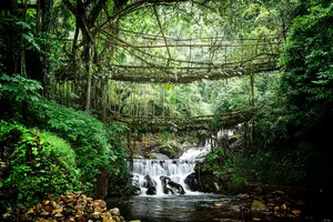 Meghalaya